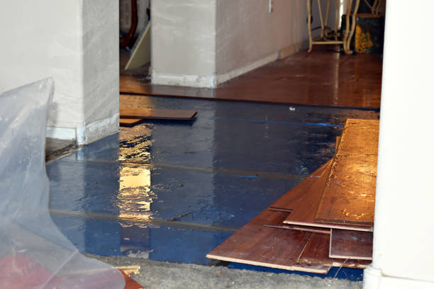 Professional Flood Cleanup technician working in Elwood, NY